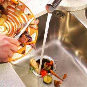 Avoid Garbage Disposal Repairs Image